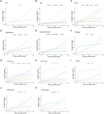 Competing risk nomogram predicting cause-specific mortality in older patients with testicular germ cell tumors